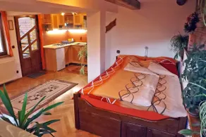 • ZOLLO II • Studio-apartment in Transylvania - Image 3