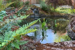Eugene Oasis: A Private Suite In the heart of town - Image 3