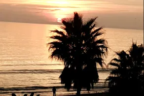 Marbella Beach Resort at Club Playa Real - Image 3