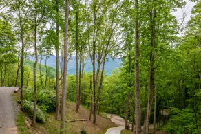 Incredible Views! Cute cabin close to Asheville! - Image 4