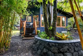 Volcano Singing Forest Cottage - Image 5