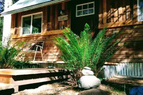 Sage-Pet Friendly Hot Tub 1 mile to Mt Rainier! - Image 2