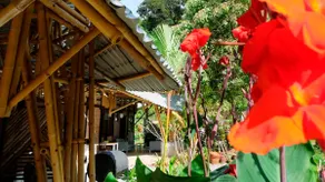 The Villa Langkawi - Image 4
