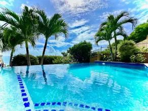 Surf Sounds and Big Views from this Pool Villa - Image 3