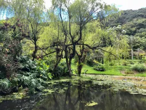 Your Own Hot Springs Oasis – Entire Property - Image 5