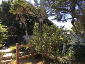 Recently remodeled 1 bedroom, full kitchen, A/C - Image 5