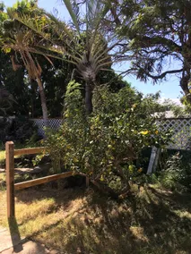 Recently remodeled 1 bedroom, full kitchen, A/C - Image 4