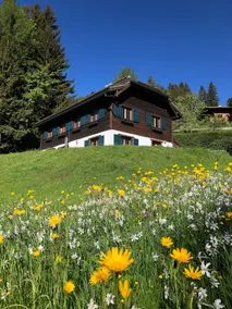 Apartment & breakfast, cottage in Montreux region - Image 2