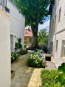 Studio house in Dresden Loschwitz - Image 3