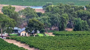 Triple Creek Guest House - Barossa Region - Image 3