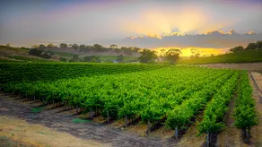 Triple Creek Guest House - Barossa Region - Image 5