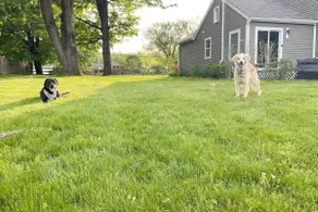 Berkshires Getaway Walk to Distillery - No Pet Fee! - Image 2
