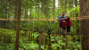 Warm modern retreat nestled by Rotorua’s Redwoods with cozy retro charm - Image 4