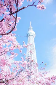 Max46ppl! CenterTokyo! Ueno 3 min, Dyson FreeWifi - Image 4