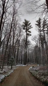 Barn In The Woods Lodge ~ We'd Love To Host You! - Image 2