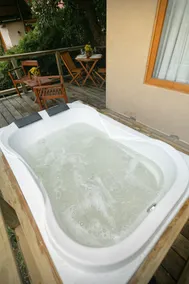 1bd/1 bath Cabin with hot tub, views and nature - Image 3
