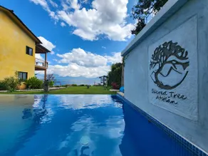 Terra, Jacuzzi, king size bed, luxury bungalow - Image 5