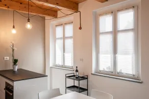Brand new loft in the heart of the Langhe - Image 5
