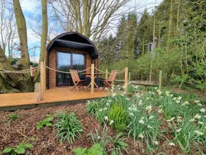 Kingsley Glamping Pods - The Beech Pod - Image 3