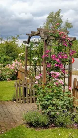 Apartment on the Spreewald-Gurken cycling path for 1 - 6 people - Image 3