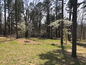 Paradise in the Pines - Image 3