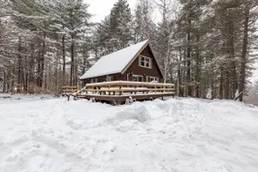 Adirondack Timberwolf Cabin - Image 4