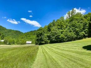NC Mountain Cabin-Near Asheville/I-26 on 10 Acres! - Image 4