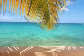 Tropical Oceanfront LucilleVilla Sleeps 6 - Image 4