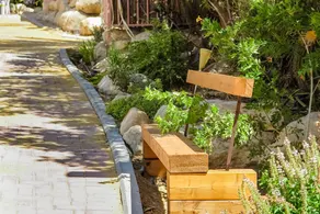Sabag's Ein Gedi Oasis - Image 5