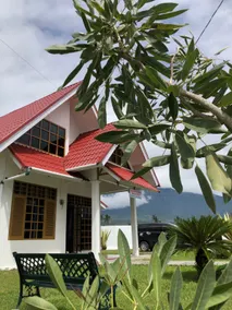 Koto Hills Homestay w mountain n rice field view - Image 3