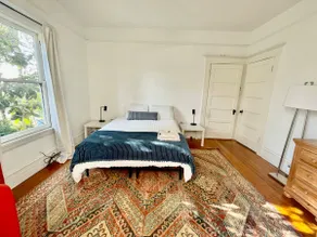 Light Filled Apartment Near UC Berkeley - Image 3