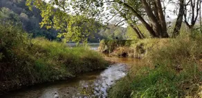 The River Roost - Image 2