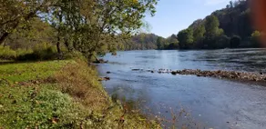 The River Roost - Image 3