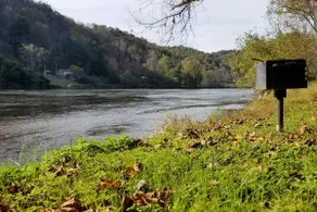 The River Roost - Image 4