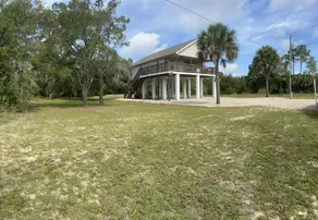 Steinhatchee havskildpadde - Image 3