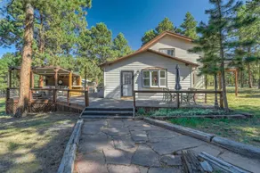 BlackForest *5 acres* CO Farmhouse *HOT TUB* - Image 3