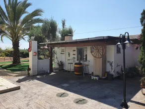 CASA DEL FENIX IN ELCHE - Image 3