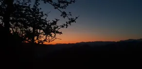 Eggelried, where nature is at home - Image 4