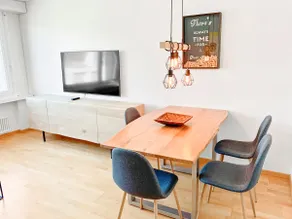 ARISER - Zug Mountain View Business Apartment - Image 2