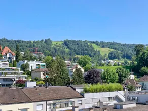 ARISER - Zug Mountain View Business Apartment - Image 3