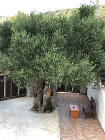 Casa Creta Galini - Image 5