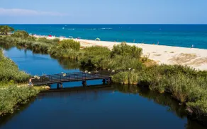 Tania, charming apartment for 7 on the beach - Image 5