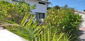 Quiet, very large garden on the edge of the forest and close to beaches. - Image 2