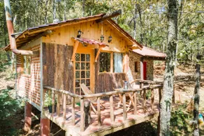 Tree inside your cabin · Terrace and Huasca forest - Image 2