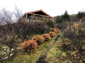 Birkiholt cosy cabin for family and individuals - Image 3