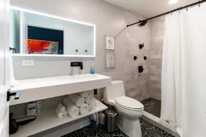 1BR/1Bath Downtown - Newly Renovated Premier Apt. - Image 3