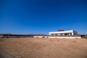 The Las Salinas Olive Grove - Image 2