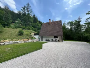 Our Forest House - Image 2