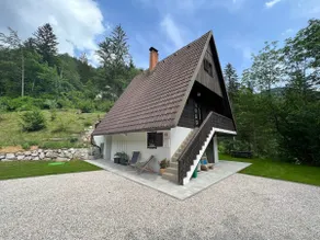 Our Forest House - Image 3