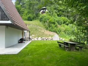 Our Forest House - Image 5
